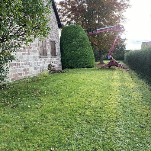 Chantier d'élagage d'un arbuste particulier